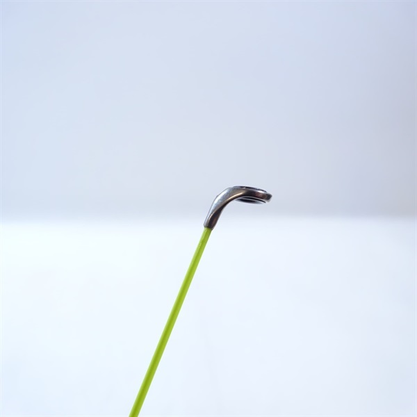 ２１アオリスタ５００